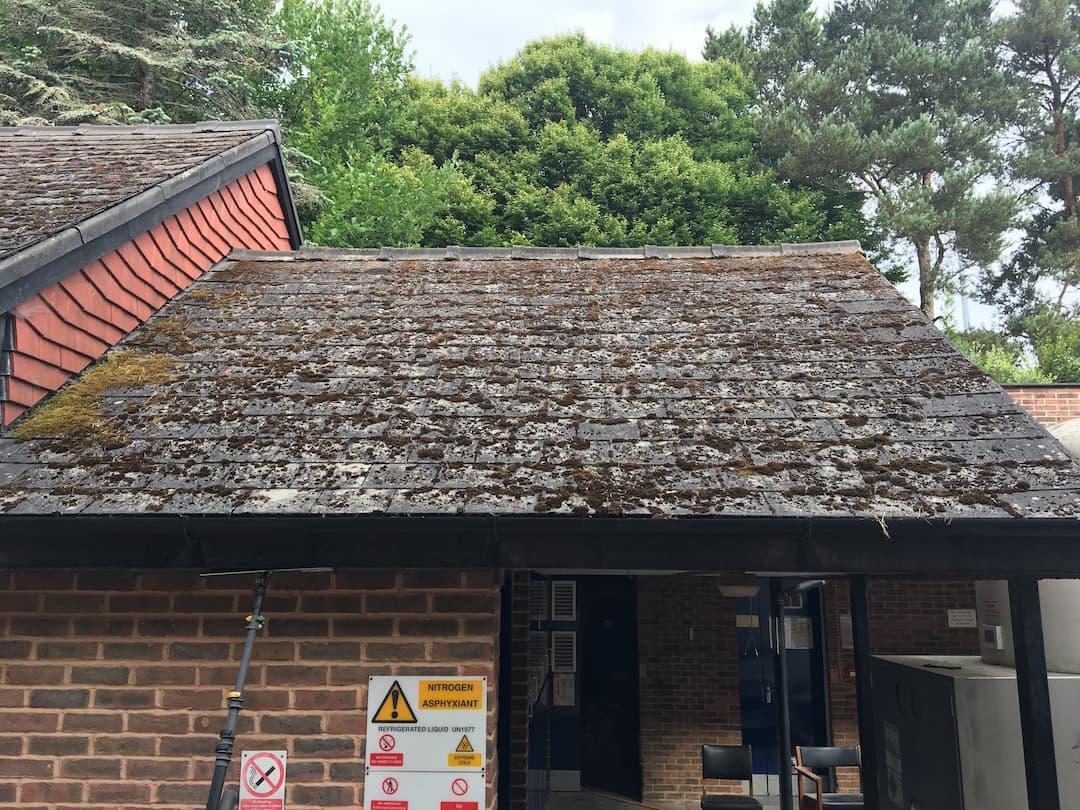 Devon roof before cleaning — heavy moss