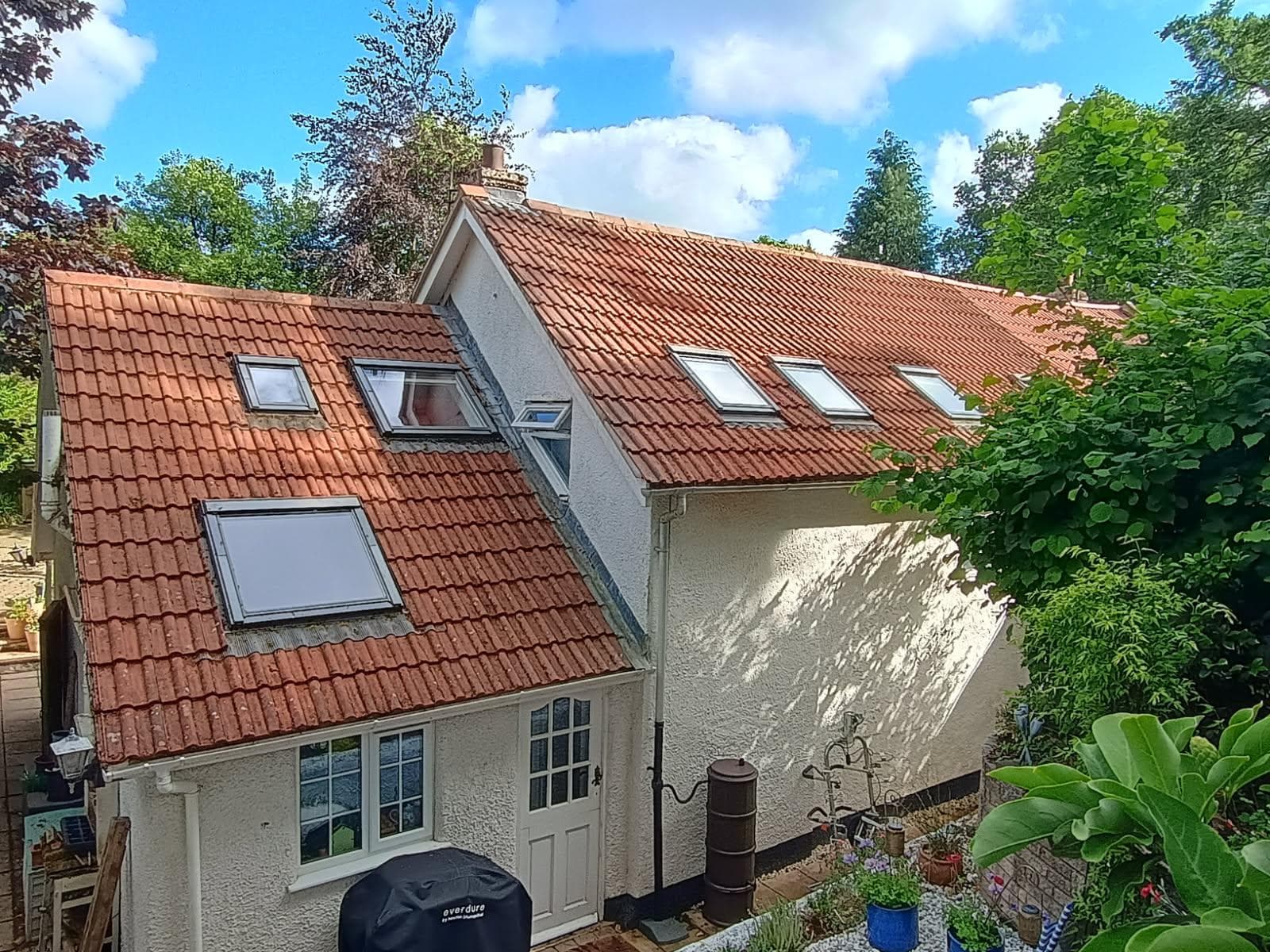 The same Devon cottage roof after a Moore & Franks clean — bright terracotta tiles
